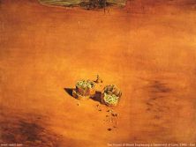 Haga click para ver la imagen ampliada two pieces of bread.jpg